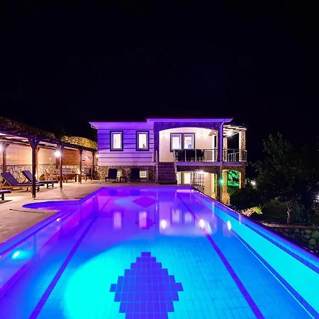Royal Blue Patara - Patara 1